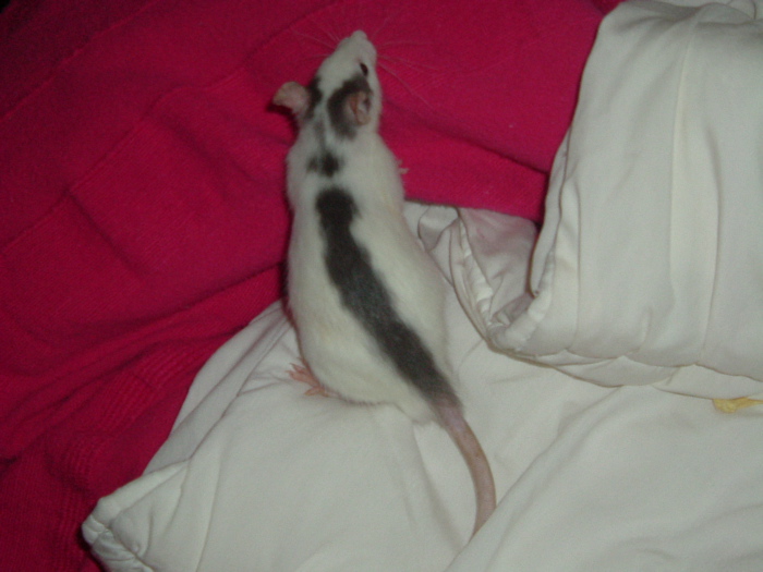 DSCF0856.JPG