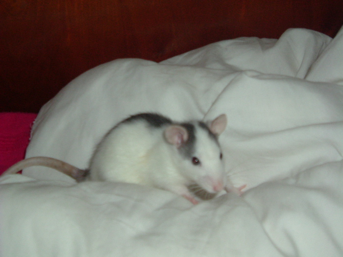 DSCF0857.JPG