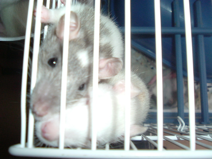 DSCF0818.JPG