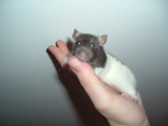 DSCF0841.JPG