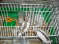 DSCF0800.JPG