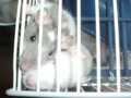 DSCF0818.JPG