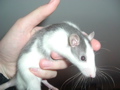 DSCF0829.JPG