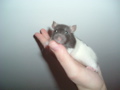 DSCF0841.JPG