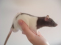 DSCF0844.JPG