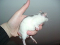 DSCF0848.JPG