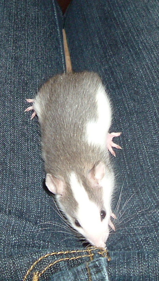 DSCF0952.JPG