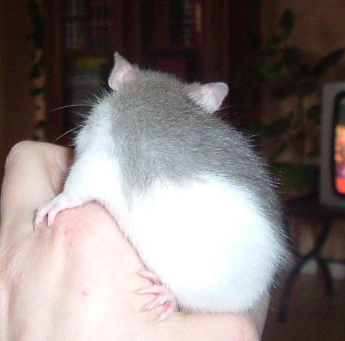 DSCF0976.JPG