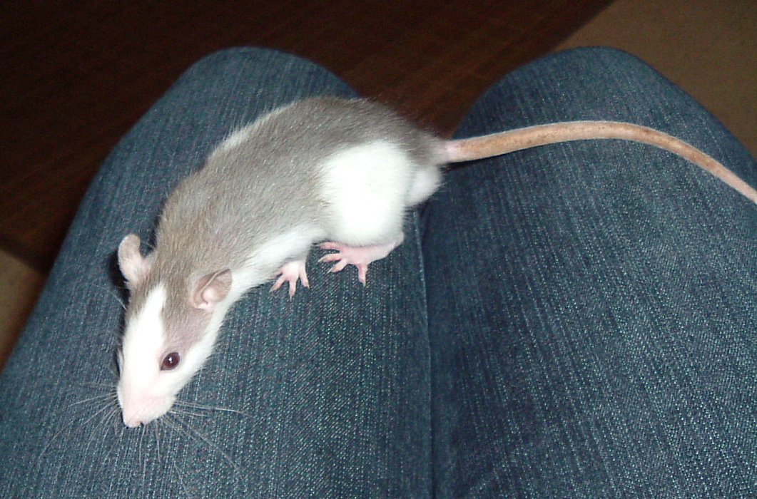DSCF0968.JPG