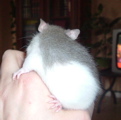 DSCF0976.JPG