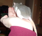 DSCF0954.JPG