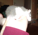 DSCF0955.JPG
