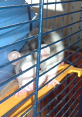 DSCF0959.JPG