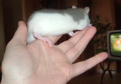 DSCF0969.JPG