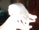 DSCF0970.JPG