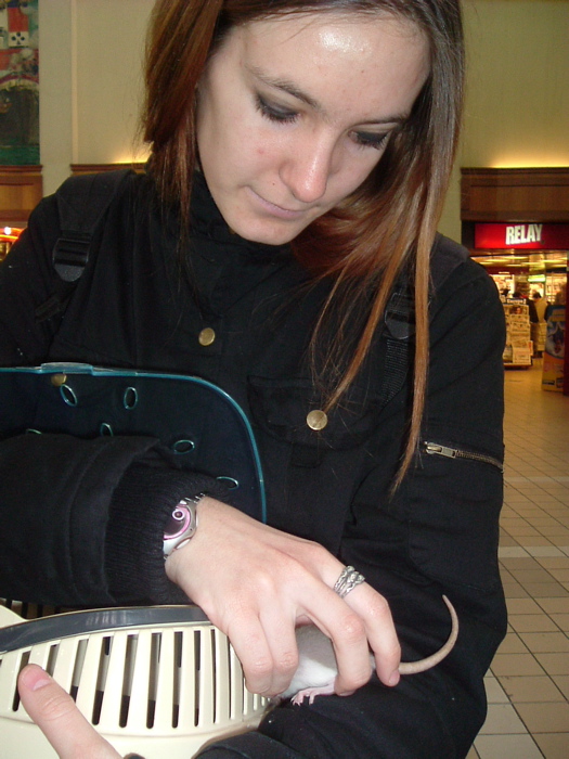 DSCF0863.JPG