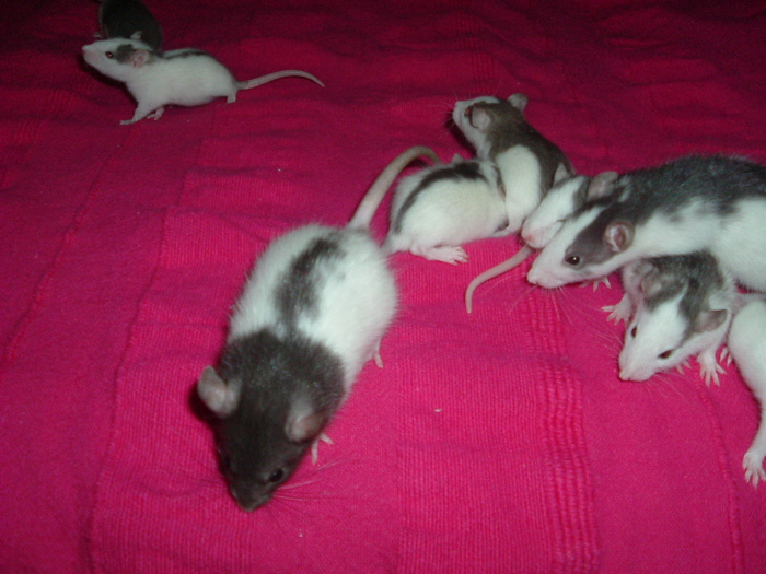 DSCF0668.JPG