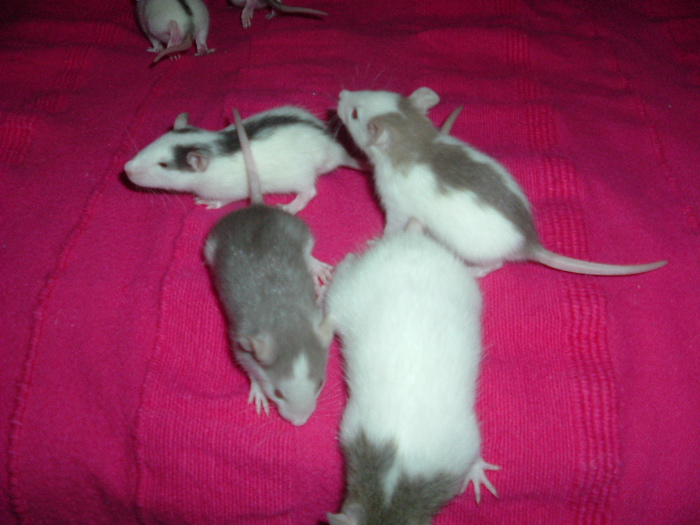 DSCF0672.JPG