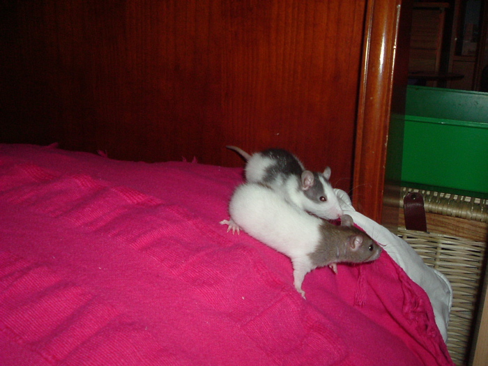 DSCF0673.JPG