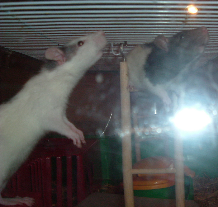 DSCF0922.JPG