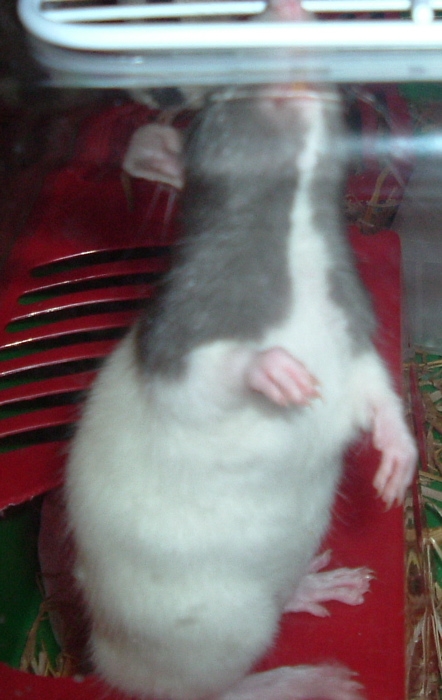 DSCF0926.JPG