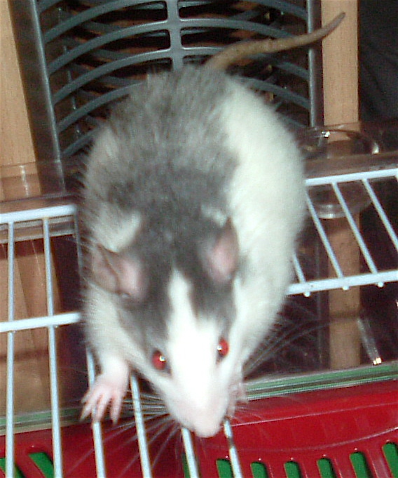 DSCF0939.JPG