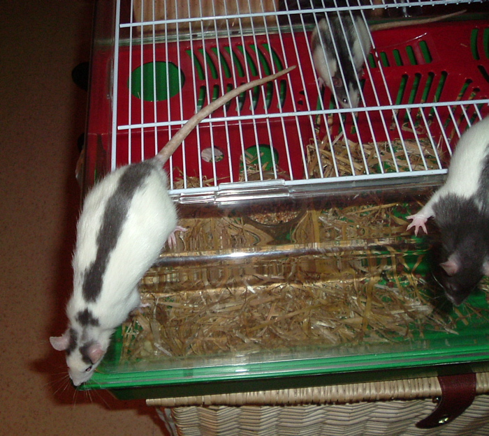 DSCF0941.JPG