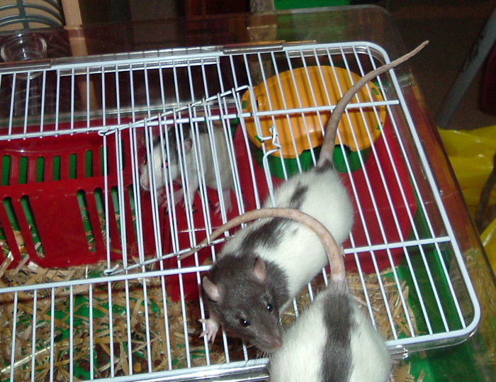 DSCF0942.JPG
