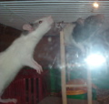 DSCF0922.JPG