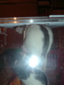 DSCF0930.JPG