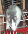 DSCF0939.JPG