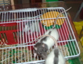 DSCF0942.JPG