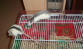 DSCF0945.JPG