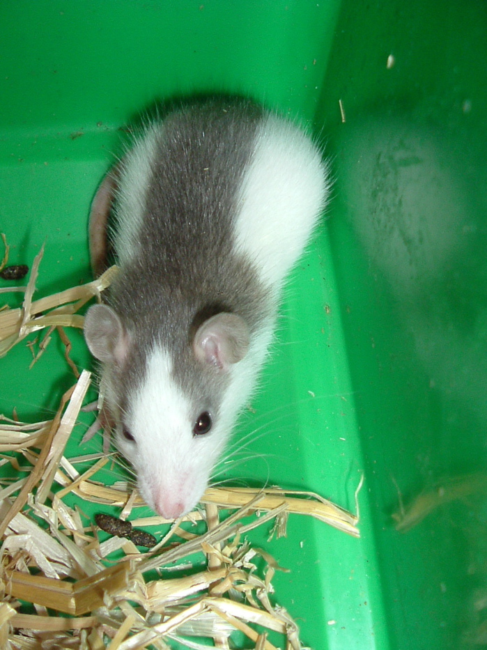 DSCF0742.JPG