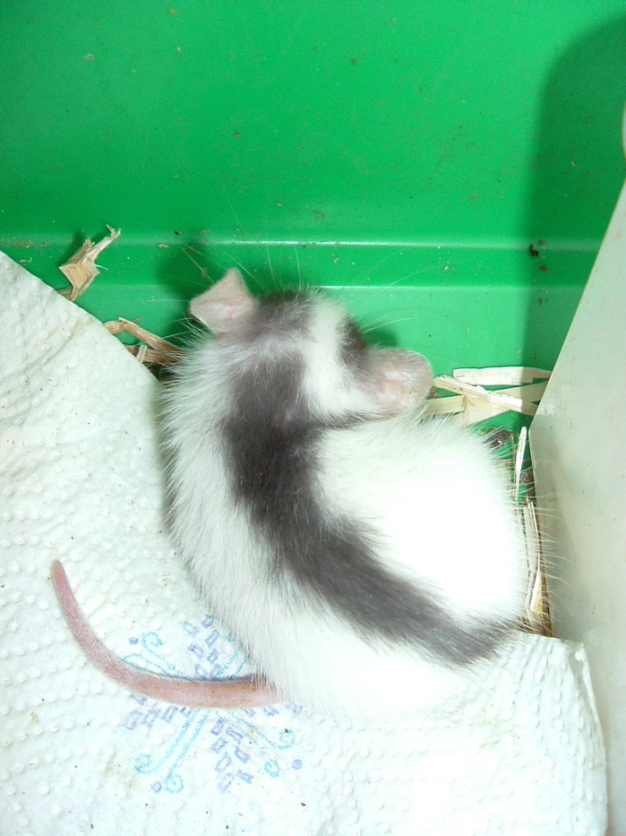 DSCF0745.JPG