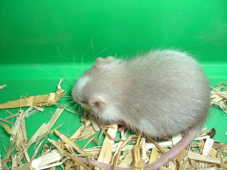 DSCF0766.JPG