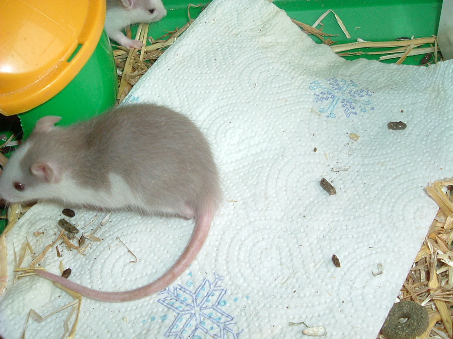 DSCF0773.JPG
