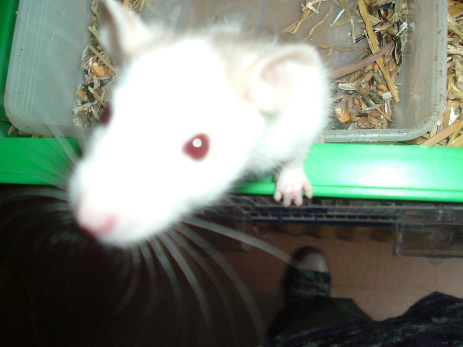 DSCF0775.JPG
