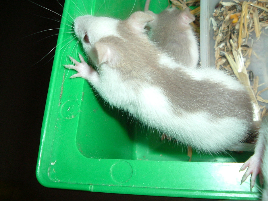 DSCF0777.JPG