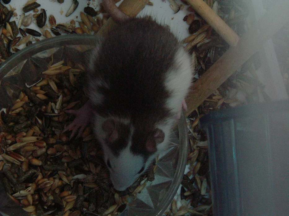 DSCF0778.JPG