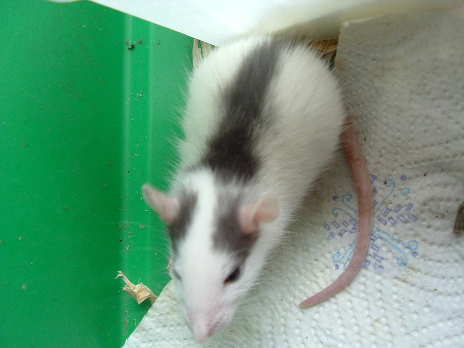 DSCF0747.JPG