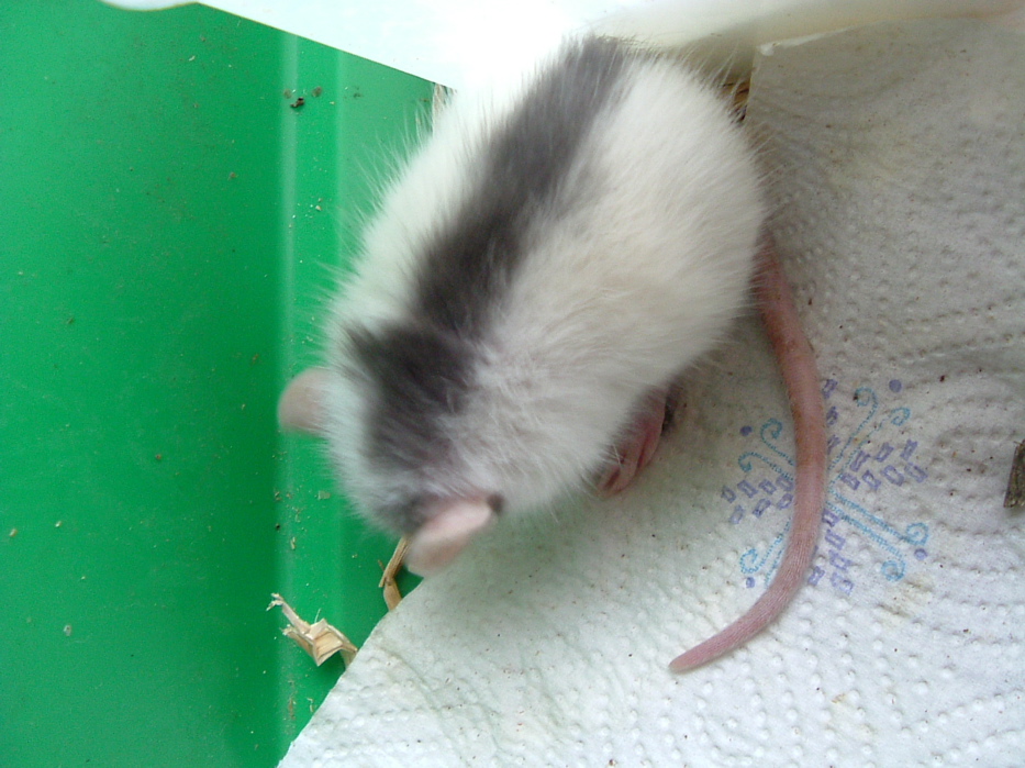 DSCF0748.JPG
