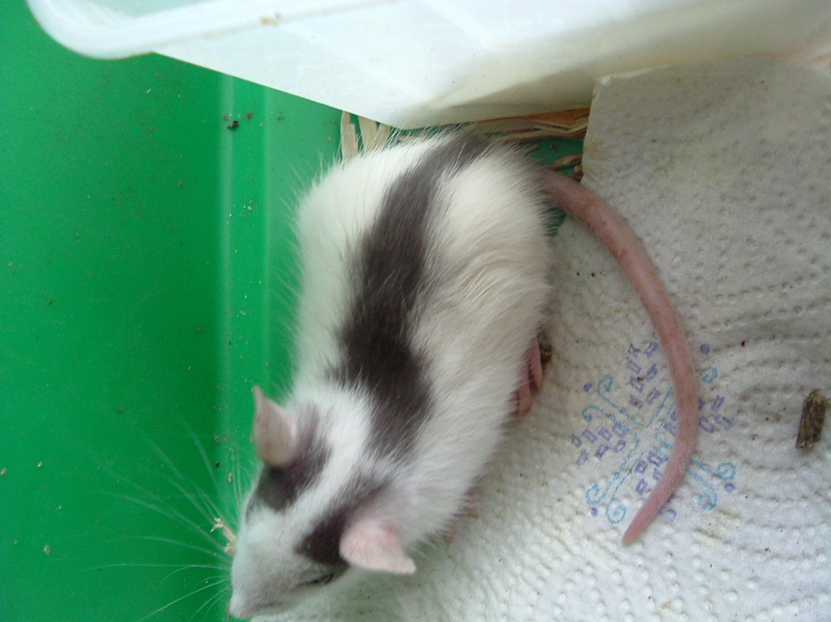 DSCF0750.JPG
