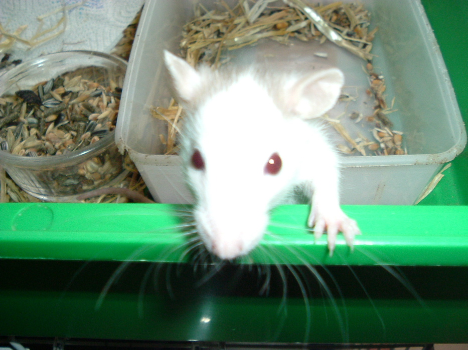 DSCF0753.JPG