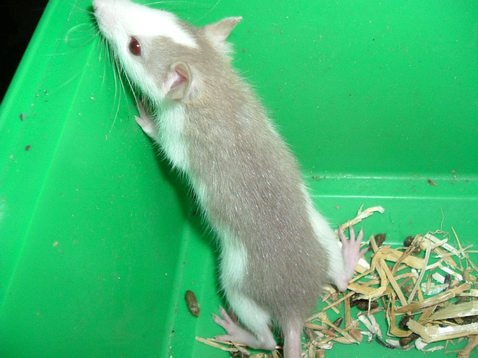 DSCF0756.JPG