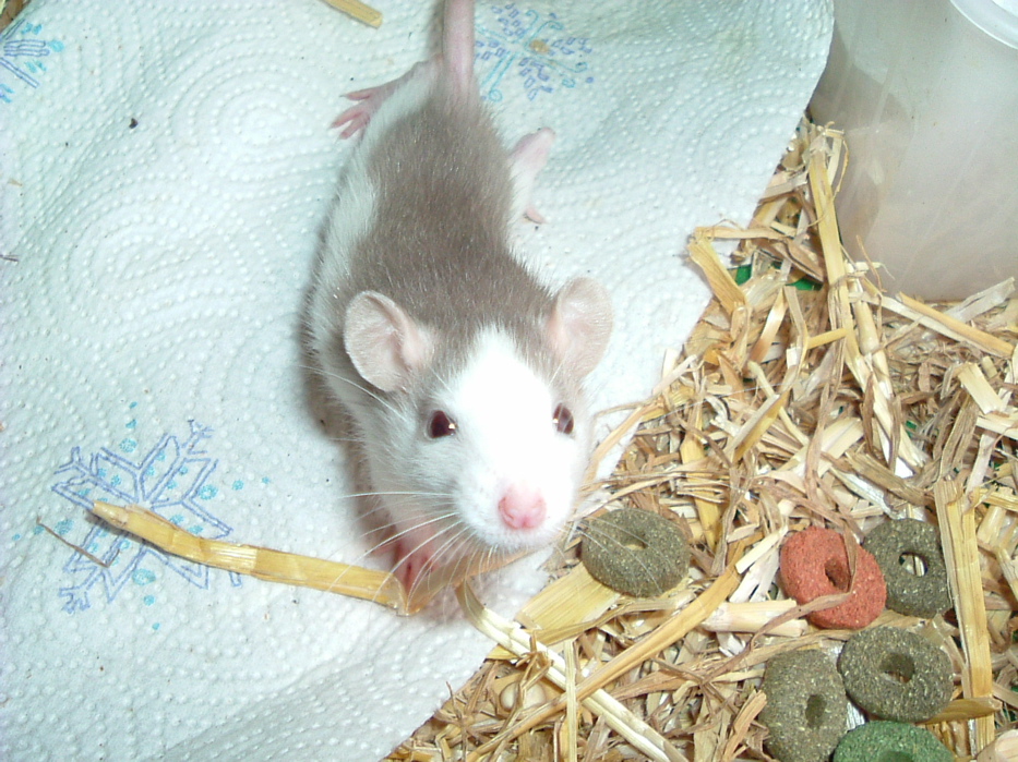 DSCF0758.JPG