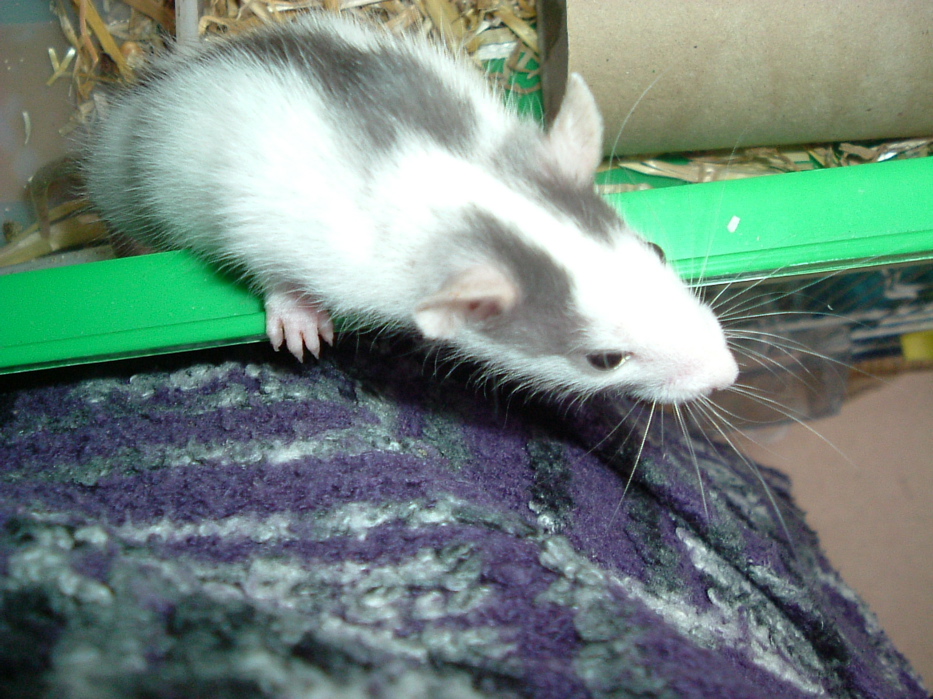 DSCF0762.JPG