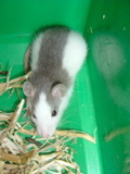 DSCF0742.JPG