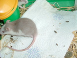 DSCF0773.JPG