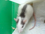 DSCF0747.JPG